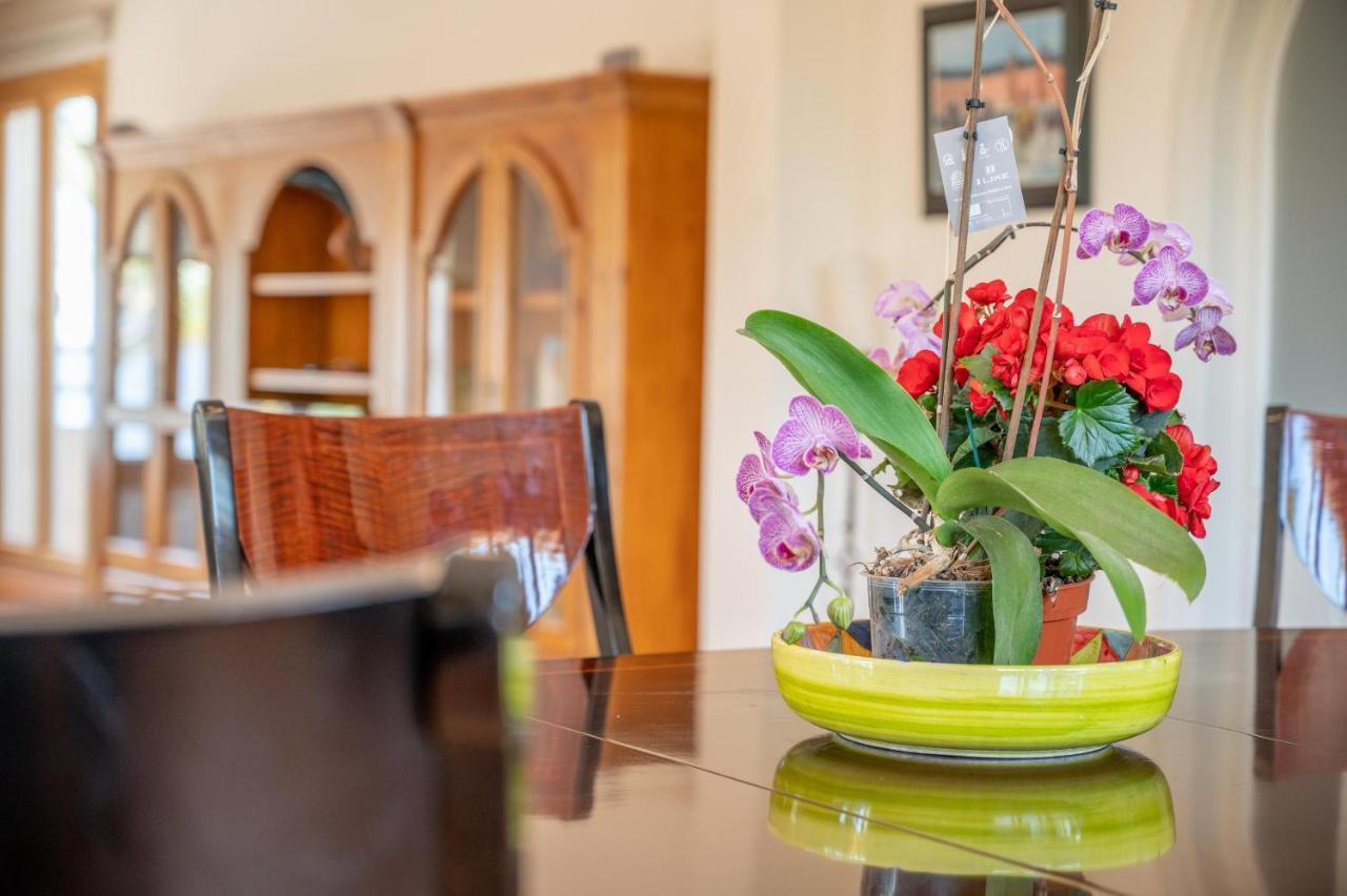 Villa Quesada Peguera Ngoại thất bức ảnh